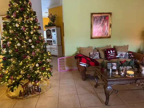 Arionclean - Photo 4