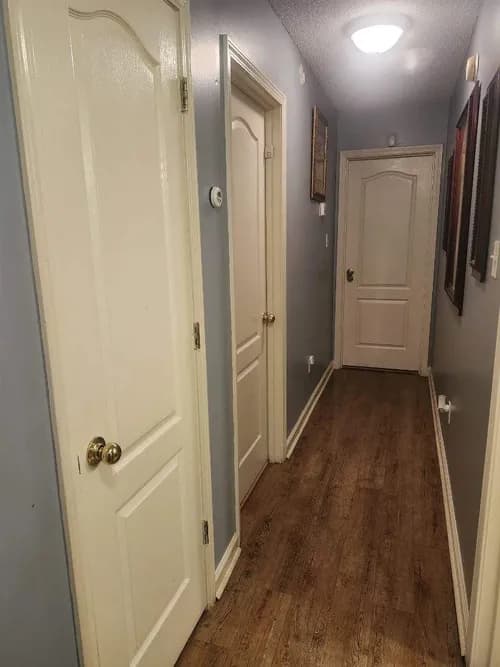 Avisha Clean - Photo 2