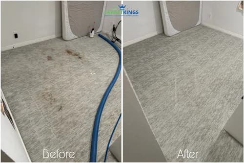 Carpet Kings - Photo 1