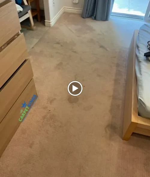 Carpet Kings - Photo 2