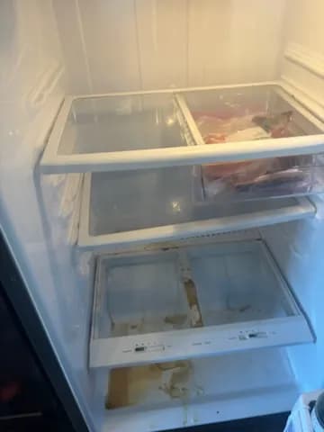 Cincy Maid - Photo 2