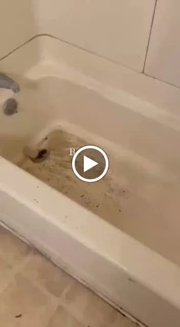 Cleanadora - Photo 3