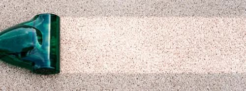 Daniel Cleans - Photo 5