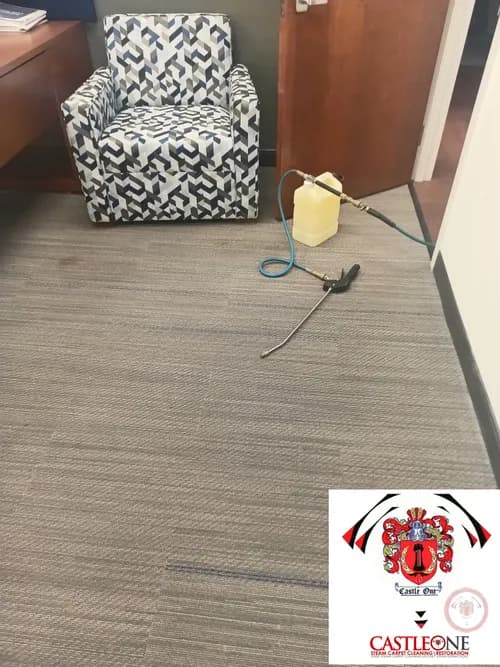 Daniel Cleans - Photo 4