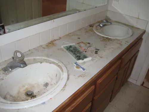 freedommaid - Photo 2