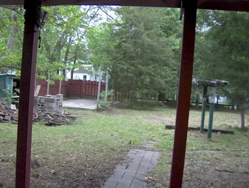 Green Clean - Photo 2