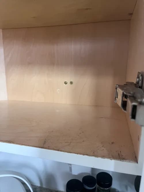 King of Maids - Photo 4