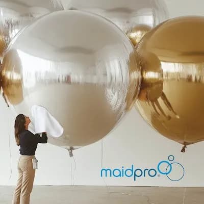 MaidPro - Photo 4