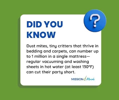 Mission Maids - Photo 5