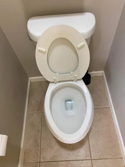 Panda Maid - Photo 3