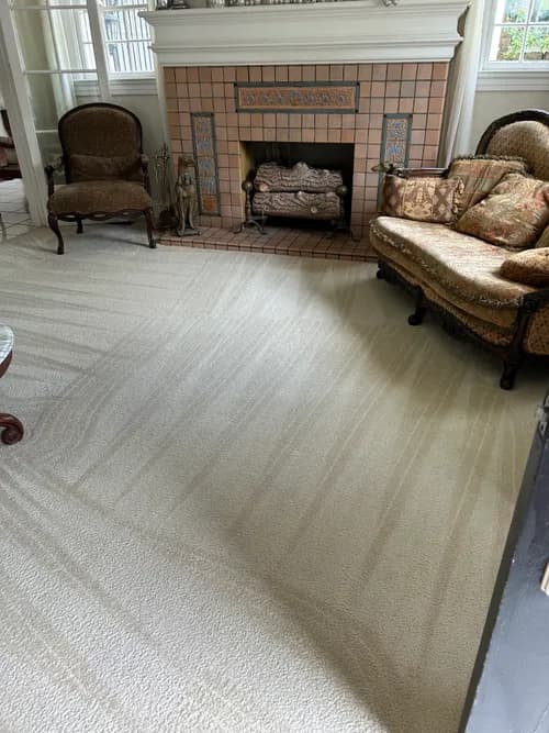 Stanley Steemer - Photo 4