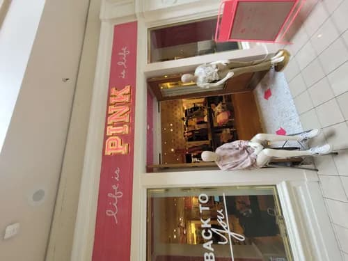 Steam Master - Photo 2