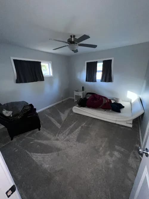 The Yellow Co. - Photo 3