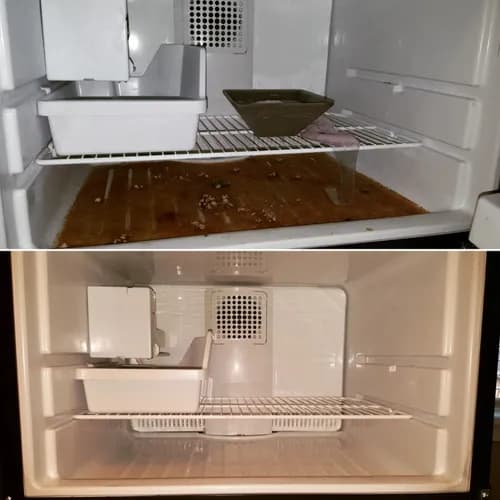 Triple Clean - Photo 1