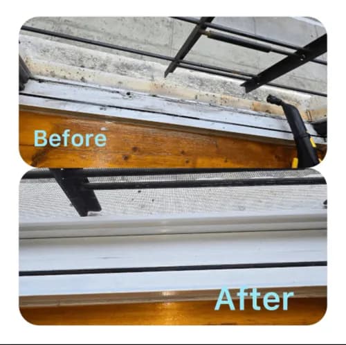 True Clean - Photo 2