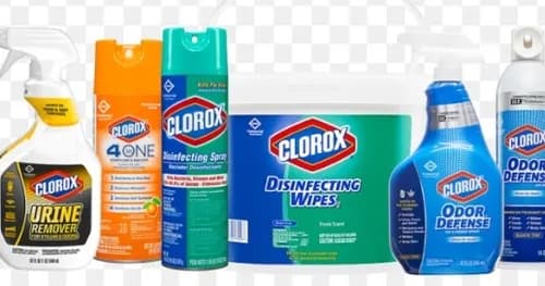 Trust Judith - Photo 2