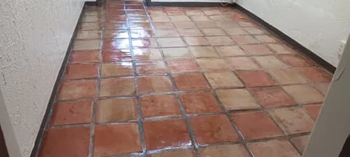 Xtreme Clean - Photo 5