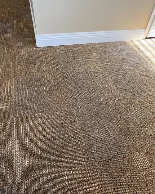 4 Elements Carpet Cleaning & Services - Photo 3