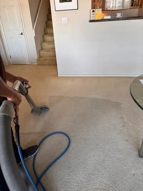 4 Elements Carpet Cleaning & Services - Photo 1