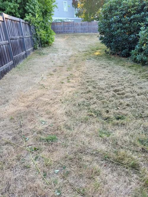 4 Seasons Services - Photo 3