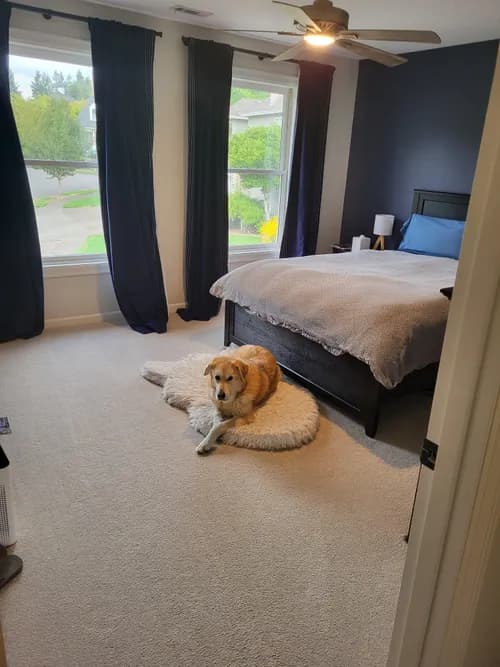 777 Cleaning Services LLC - Photo 2