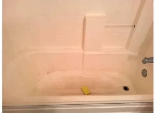 A Consistent Cleaning Experience