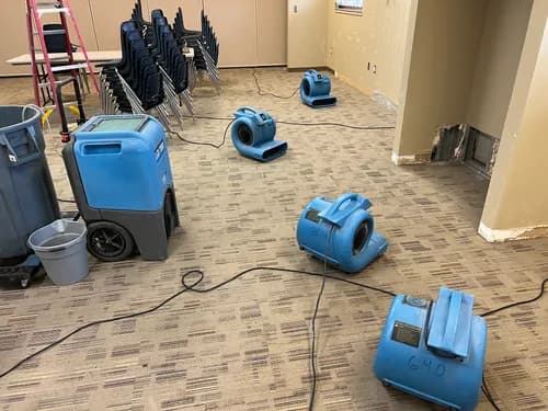 A-Steam Carpet Care - Photo 4