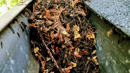 A & X Professional Cleaning Company - Photo 5