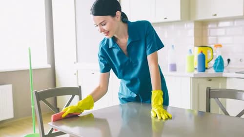 AAA Maid Services - Photo 1