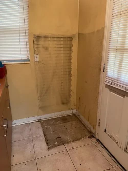 Above & Beyond Cleaning Enterprises - Photo 2