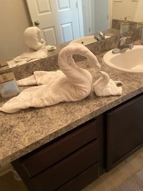 Adaluna's Cleaning Services LLC - Photo 1