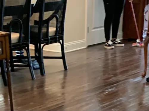 Adaluna's Cleaning Services LLC - Photo 5