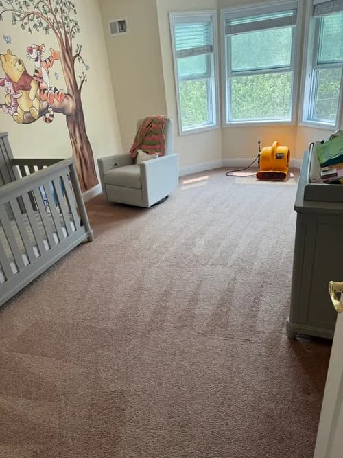 Adams Cleaning LLC - Photo 3