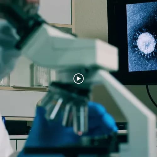 Adriana's House Cleaning - Photo 2