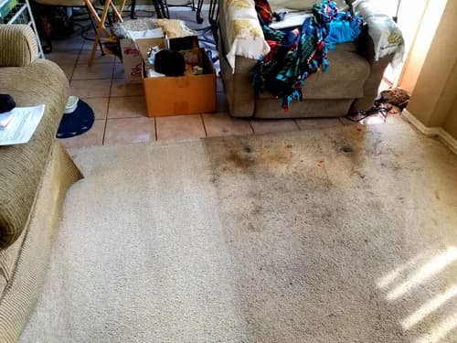 Advanced Carpet and Tile Cleaning Company - Photo 2