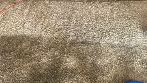 Advanced Carpet and Tile Cleaning Company - Photo 3