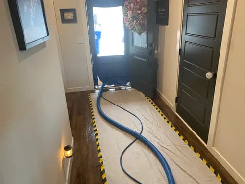 Advantage Carpet Cleaning