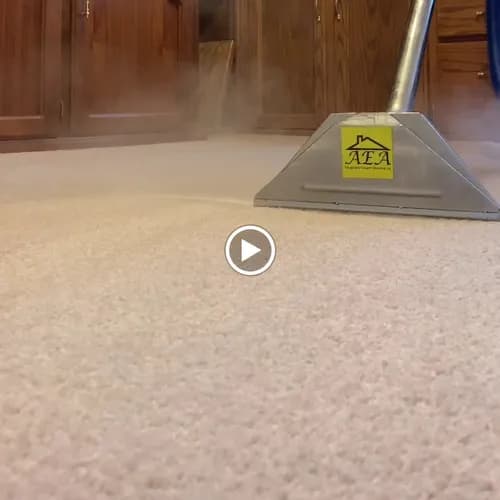 AEA Carpet Cleaning