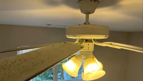 Agame Cleaning Services, LLC - Photo 4