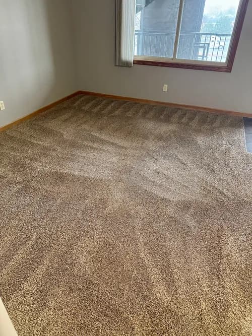 Air Force One Carpet Cleaning - Photo 5