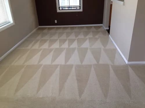 Air Force One Carpet Cleaning - Photo 2