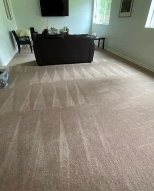 Akemi Royal Cleaning LLC - Photo 1