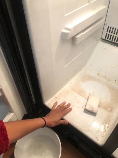 Alexa Cleaning Services LLC - Photo 2