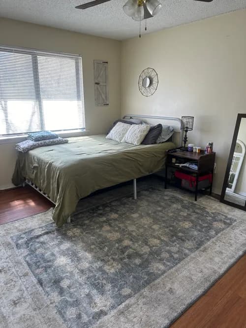 Alicia’s Cleaning Services