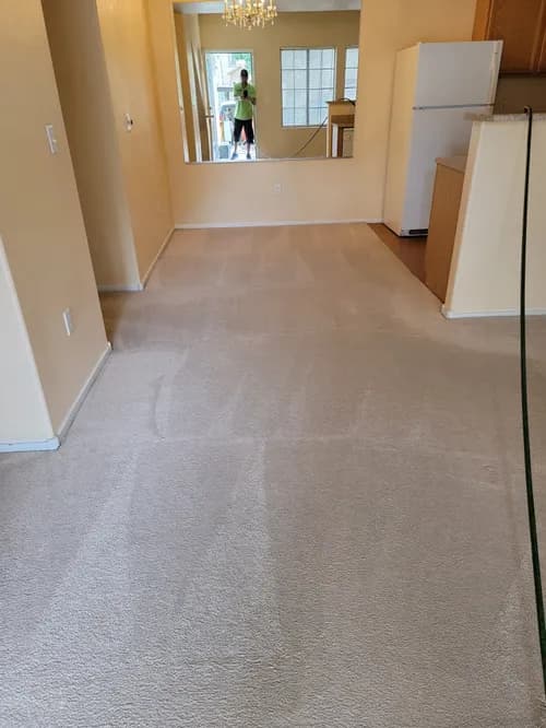 Alien Steamers - Photo 2