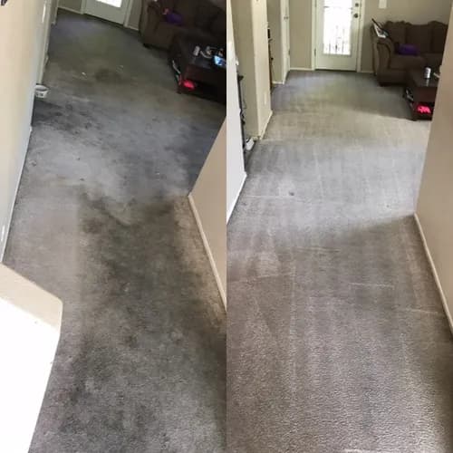 Alien Steamers - Photo 4