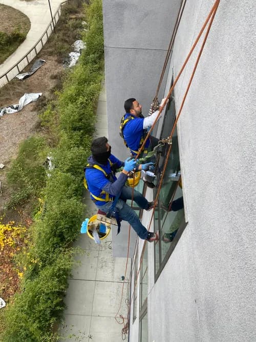 ALL CLEAN/MAINTENANCE - Photo 4