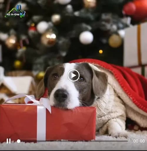 All In One Cleaning Solutions - Photo 1