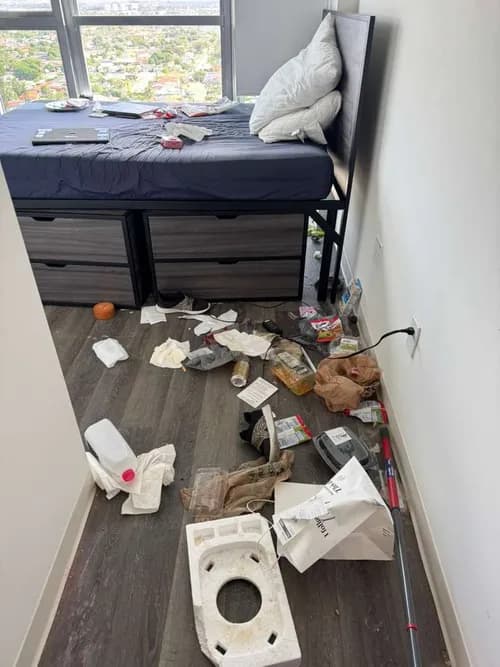 All Star Clean & Clear - Cleaning Services - Photo 2