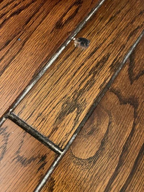 Alpha Cleaning Services - Photo 3